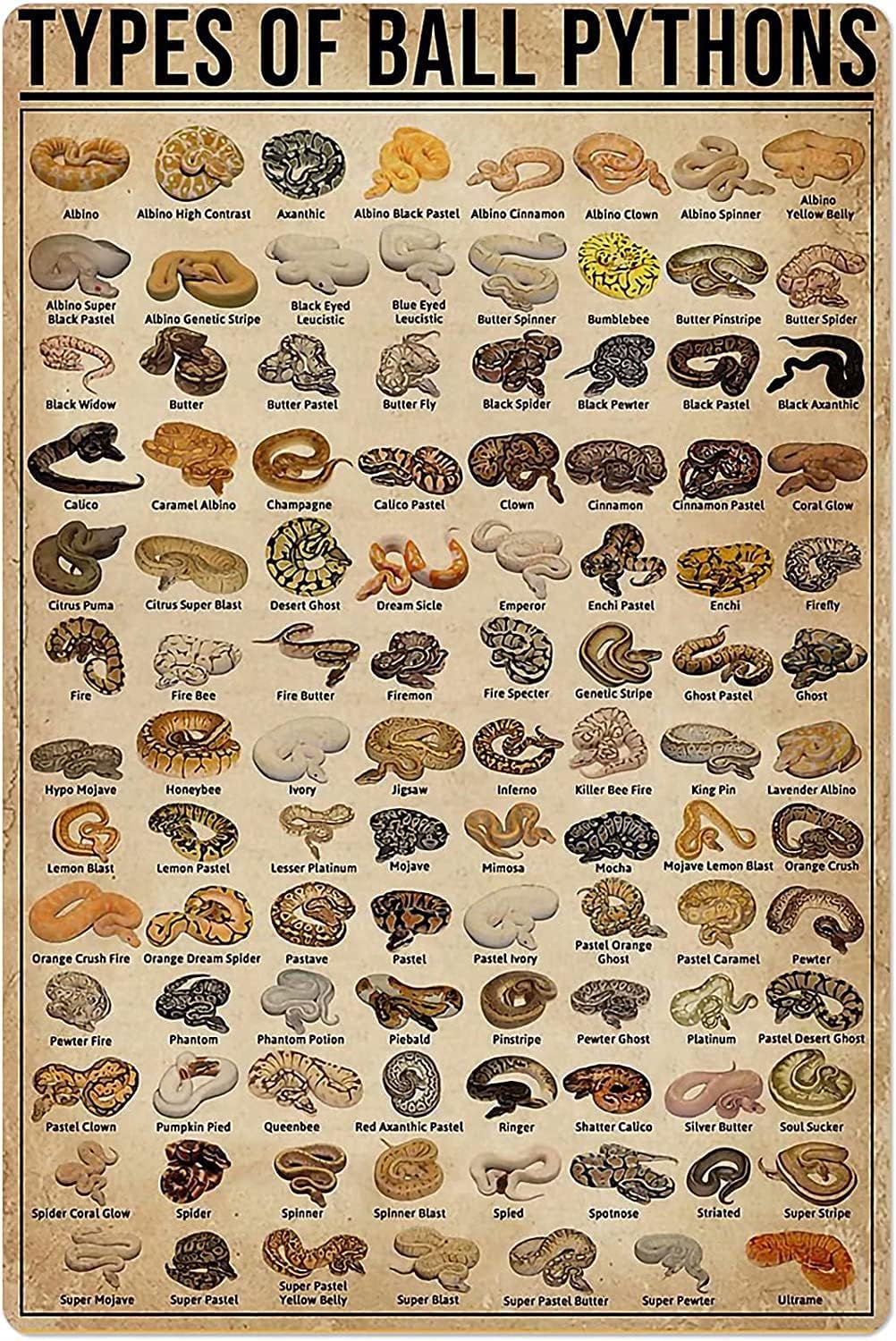 Retro Gaming Pictures - Retro metalen blikken bord soorten balpythons